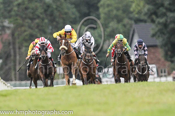 01st Sennockian Star and D E Hogan ( 2 , yellow, red stars ) Trainer - S Fahey , Owner - Michael Allen
