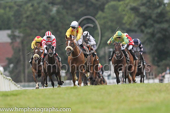 01st Sennockian Star and D E Hogan ( 2 , yellow, red stars ) Trainer - S Fahey , Owner - Michael Allen