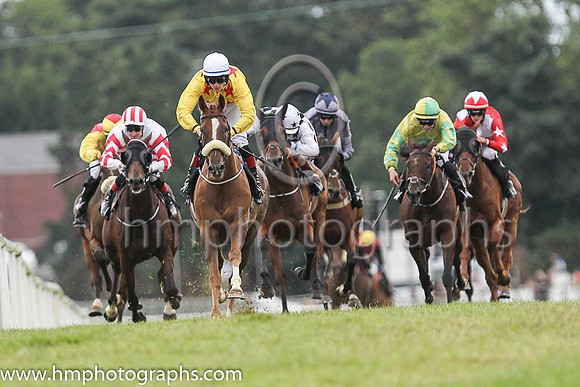 01st Sennockian Star and D E Hogan ( 2 , yellow, red stars ) Trainer - S Fahey , Owner - Michael Allen