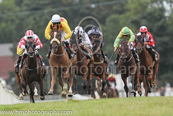 01st Sennockian Star and D E Hogan ( 2 , yellow, red stars ) Trainer - S Fahey , Owner - Michael Allen