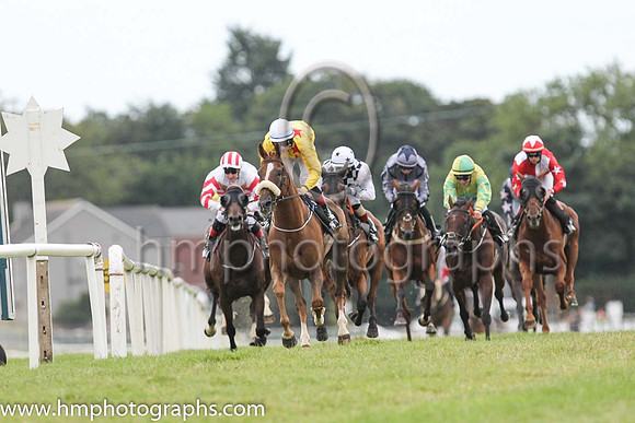 01st Sennockian Star and D E Hogan ( 2 , yellow, red stars ) Trainer - S Fahey , Owner - Michael Allen