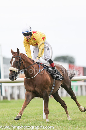01st Sennockian Star and D E Hogan ( 2 , yellow, red stars ) Trainer - S Fahey , Owner - Michael Allen