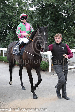 03rd On The Go Again and G F Carroll ( 4 , green and pink qtrd ) Trainer - Michael Mulvany , Owner - L Mulvany