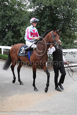 04th Light Pillar and D O'Brien ( 3 , Pale blue, cerise cross ) Trainer - Joseph P O'Brien , Owner - Rafferty's Rules Syndicate