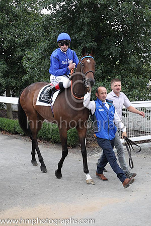 01st Twilight Payment and K J Manning ( 6 , royal blue, dark blue seams ) Trainer - J S Bolger , Owner - Godolphin