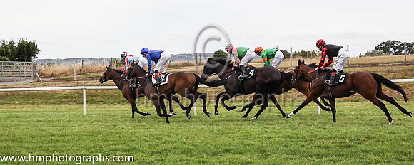 The start of Her Majesty's Plate Staked (Listed Race) at Down Royal