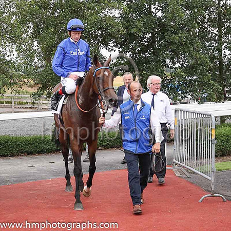 01st Twilight Payment and K J Manning ( 6 , royal blue, dark blue seams ) Trainer - J S Bolger , Owner - Godolphin