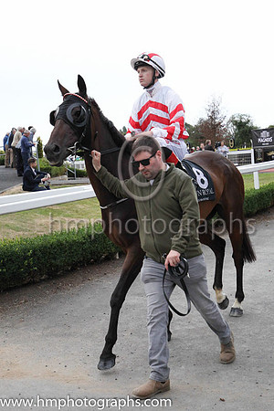 03rd Mr Boss Man and K K Hennessy ( 8 , White, red chevrons ) Trainer - N Slevin , Owner - Camillus Slevin