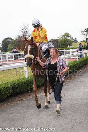 01st Sennockian Stara nd D E Hogan ( 2 , yellow, red stars ) Trainer - S Fahey , Owner - Michael Allen