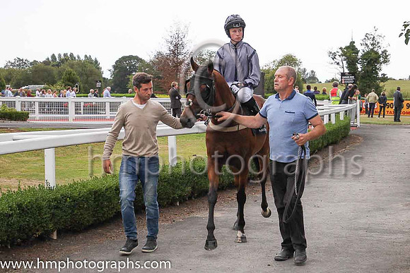 06th Xinbama and M P O'Connor 4 ( 9 , Grey, dark blue seams ) Trainer - D P Dunne , Owner - Mrs Emily Treadwell