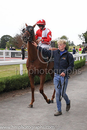 07th Percy B Shelleyand S B Kirrane 4 ( 4 , red and white qtrd ) Trainer - J F Levins , Owner - Sixtyfiveroses Partnership