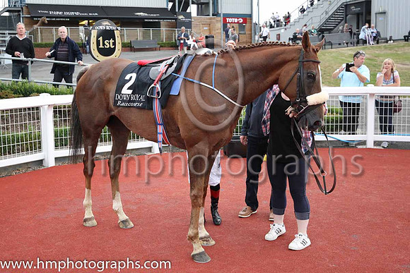 01st Sennockian Star and D E Hogan ( 2 , yellow, red stars ) Trainer - S Fahey , Owner - Michael Allen