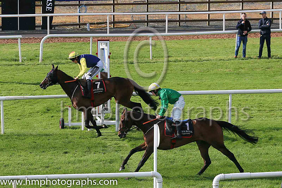 04th Run For Pat and E. Walsh (7 ,blue, yellow diamond ), Trainer:Gordon Elliott , Owner:Mrs P Sloan