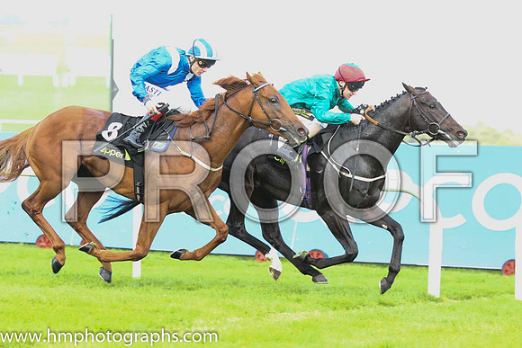 02 Mustajeeb and P J Smullen - - 02nd (8 ,royal blue, white epaulettes ) Trainer -   01 Bow Creek and J Fanning - - 01st (6 ,dark green, red cap ) Trainer - M Johnston