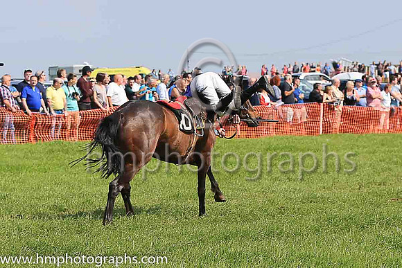 TULLYORIOR and R A Devine ( 10 , PURPLE; white sleeves; red cap,white star ) Trainer: Catherine Barry , Owner : Catherine Barry