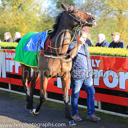 04th Sadler?s Risk and D J Mullins ( 4 , light blue, pink chevrons ) Trainer - H de Bromhead , Owner - R S Brookhouse