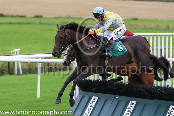 03rd Milomynit and A E Lynch ( 8 , yellow light blue chevrons ) Trainer - H de Bromhead , Owner - Final Reminder Syndicate