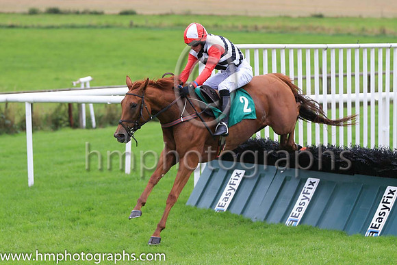 Fell Perfect In Pink and D R Fox ( 2 , white, dark blue chevrons ) Trainer - M M McNiff , Owner - Sligo Racing Club