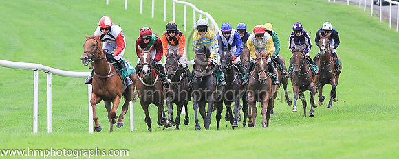 Fell Perfect In Pink and D R Fox ( 2 , white, dark blue chevrons ) Trainer - M M McNiff , Owner - Sligo Racing Club