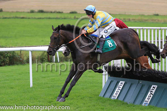 03rd Milomynit and A E Lynch ( 8 , yellow light blue chevrons ) Trainer - H de Bromhead , Owner - Final Reminder Syndicate
