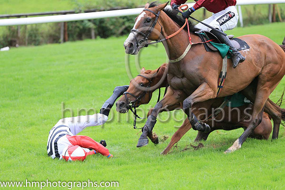 Fell Perfect In Pink and D R Fox ( 2 , white, dark blue chevrons ) Trainer - M M McNiff , Owner - Sligo Racing Club
