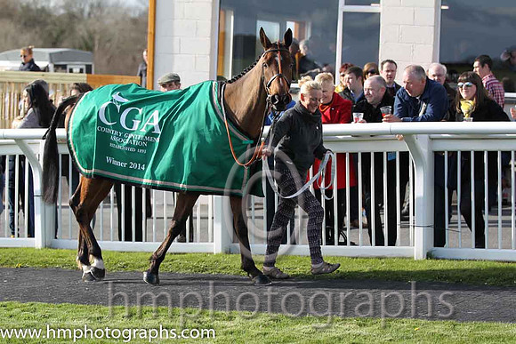 Tammys Hill - winner of the CGA Foxhunter Chase at Cheltenham - FT8E4337-12