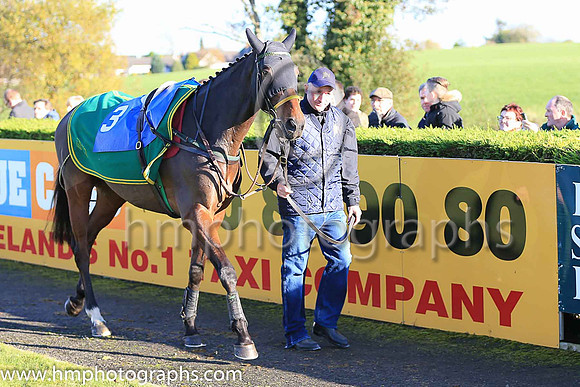 F Monksland and S W Flanagan ( 3 , cerise ) Trainer - N Meade , Owner - Mrs Patricia Hunt