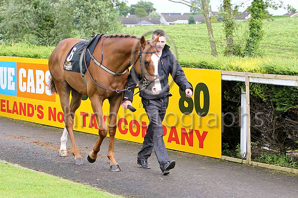 FT8E5564-e