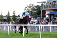 01st Cottersrock ( 2 , white, light blue chevron ) and N. McParlan (5) - Trainer : J.G.Cosgrave - Owner : J.G.Cosgrave