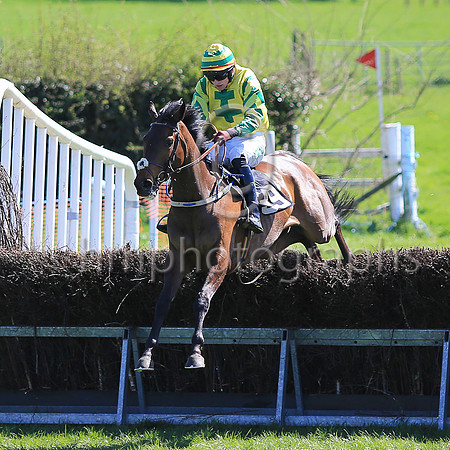 01st LECALE'S ARTICLE and D G Lavery ( 45 , YELLOW,emerald green cross of lorraine; emerald green sleeves,yellow chevrons; yellow  emerald green hooped cap ) Trainer: Patrick Eugene Turley , Owner :