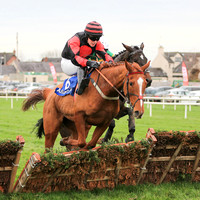 01st Alaliya and Liam Gilligan (8, black, red disc) Trainer G T Lynch, Owner Mrs Margaret Hannigan