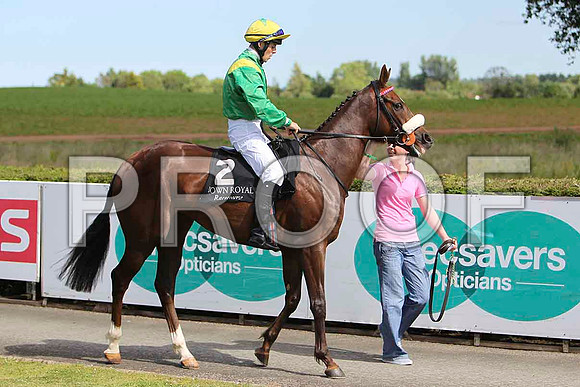 Spring Hawk winner, Jockey B A Curtis - CU2D0317-e