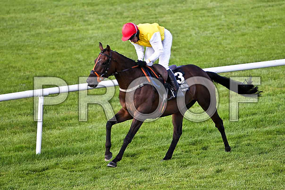 Golden Grimshaw , winner  - Jockey B J Geraghty - CU2D2032-e