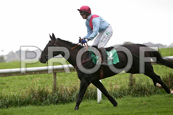 Evolution , Jockey P Townend - Fell - CU2D2303-e