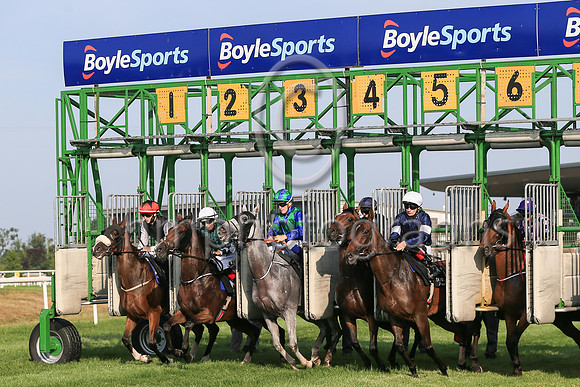The start of Her Majesty's Plate (Listed Race) at Down ROyal on Friday 23rd July 2021