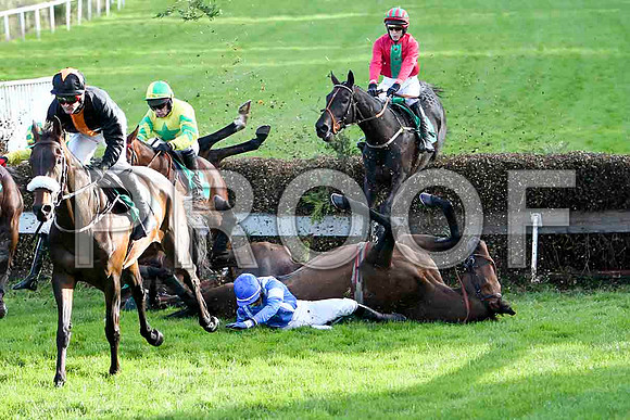 The Real Tyson falls - Jockey P Townend - FT8E4908-e2