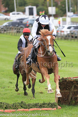 06th William of Wykeham and D R Fox ( 10 , black, white seams ) Trainer - M M McNiff , Owner - Mark Michael McNiff