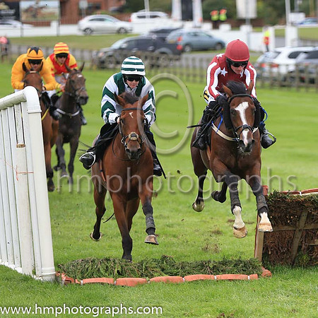 07th Irish Minister and D G Hogan ( 4 , maroon, white stars ) Trainer - Denis Hogan , Owner - Mohammed Hamad Khalifa Al-Attiyah