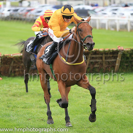09th Union Gap and J M Moore ( 8 , yellow, yellow cap ) Trainer - N Meade , Owner - Mrs Derville Meade