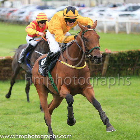 09th Union Gap and J M Moore ( 8 , yellow, yellow cap ) Trainer - N Meade , Owner - Mrs Derville Meade