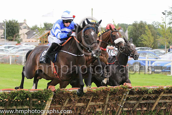 02nd Its All A Lark and P D Kennedy ( 6 , royal blue and white chevrons ) Trainer - C Bowe , Owner - Mrs Fiona Bowe