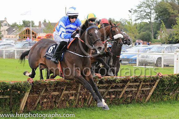 02nd Its All A Lark and P D Kennedy ( 6 , royal blue and white chevrons ) Trainer - C Bowe , Owner - Mrs Fiona Bowe