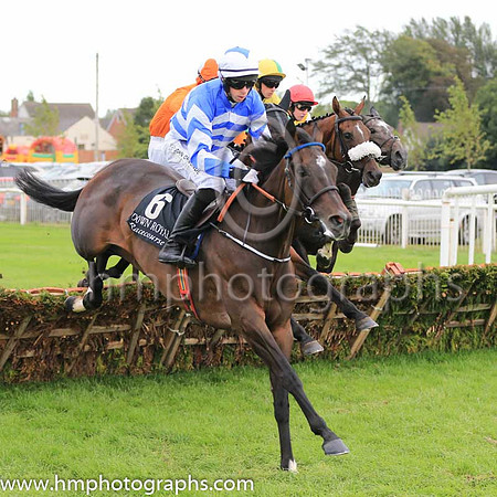 02nd Its All A Lark and P D Kennedy ( 6 , royal blue and white chevrons ) Trainer - C Bowe , Owner - Mrs Fiona Bowe