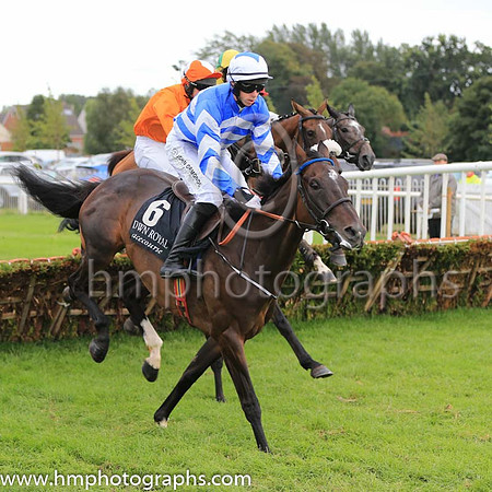 02nd Its All A Lark and P D Kennedy ( 6 , royal blue and white chevrons ) Trainer - C Bowe , Owner - Mrs Fiona Bowe