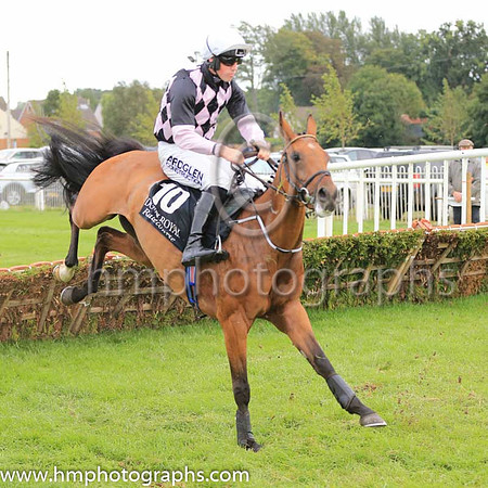 12th Raveloe and B Hayes ( 10 , black and pink diamonds ) Trainer - P A Fahy , Owner - William Hurley  Mrs Aisling Hurley