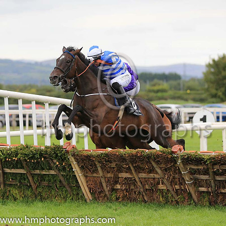02nd Its All A Lark and P D Kennedy ( 6 , royal blue and white chevrons ) Trainer - C Bowe , Owner - Mrs Fiona Bowe