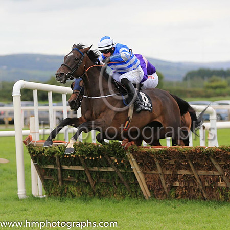 02nd Its All A Lark and P D Kennedy ( 6 , royal blue and white chevrons ) Trainer - C Bowe , Owner - Mrs Fiona Bowe
