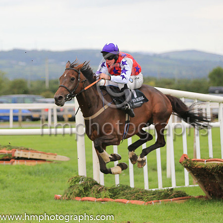 09th Krujers Girl and A E Lynch ( 7 , red, purple stars ) Trainer - V C Ward , Owner - Can?t Stand Syndicate