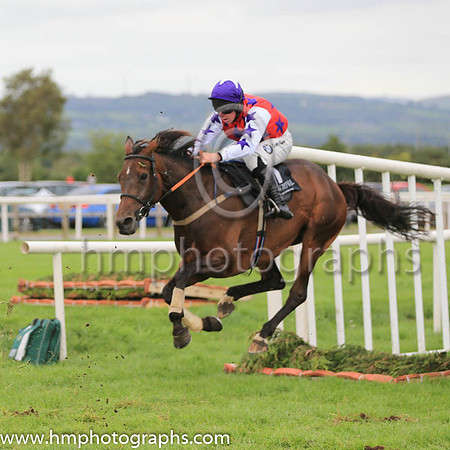 09th Krujers Girl and A E Lynch ( 7 , red, purple stars ) Trainer - V C Ward , Owner - Can?t Stand Syndicate