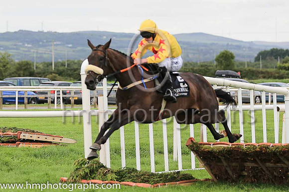 10th Gone Galavanting and R Loughran ( 5 , yellow, red star ) Trainer - Peter Fahey , Owner - Pig N Porter Syndicate